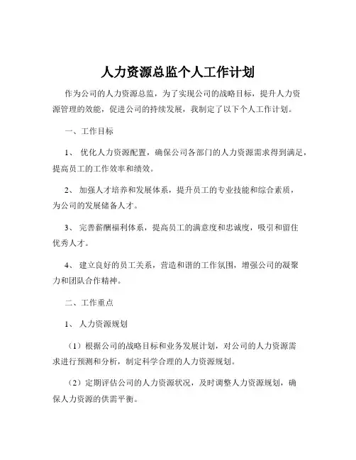 人力资源总监个人工作计划