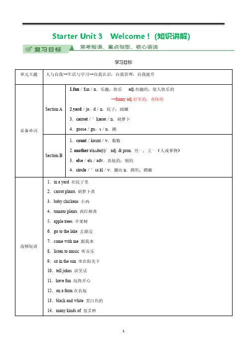 人教版初中英语新教材七年级上starterUnit3知识点归纳总结(复习必背)