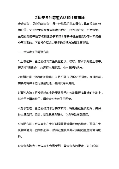 金边麦冬的养殖方法和注意事项
