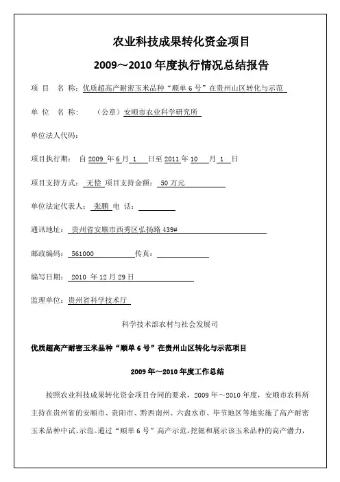 项目执行情况总结报告