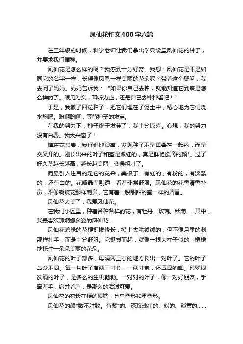 凤仙花作文400字六篇