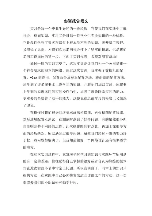 实训报告范文