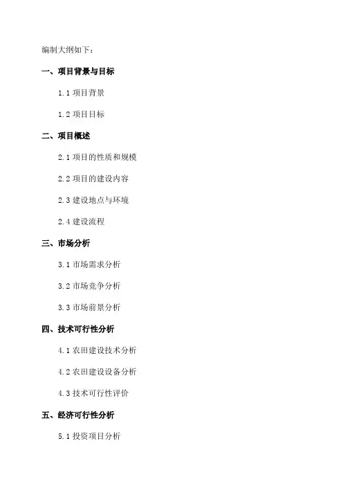 2024年高标准农田建设项目可行性研究报告