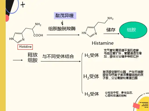 抗过敏药和抗溃疡药
