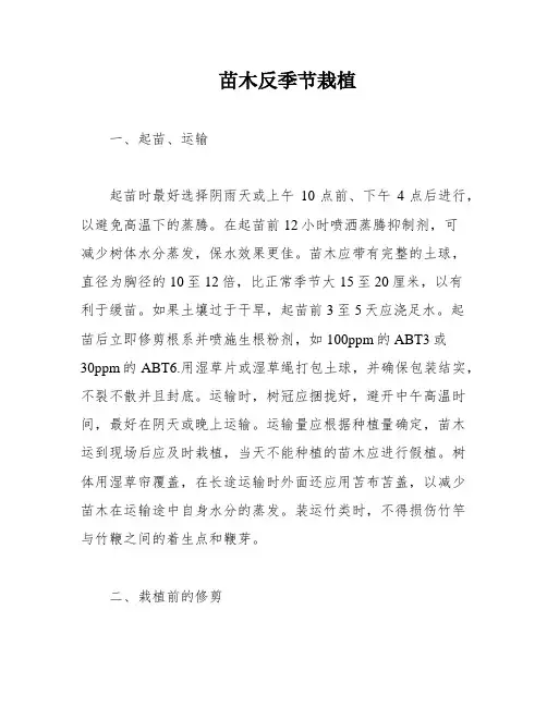 苗木反季节栽植