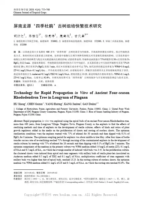 屏南龙源‘四季杜鹃’古树组培快繁技术研究