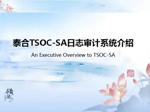 泰合TSOC-SA日志审计系统架构介绍
