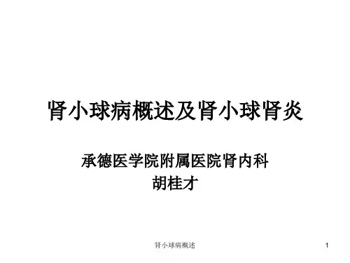 肾小球病概述课件