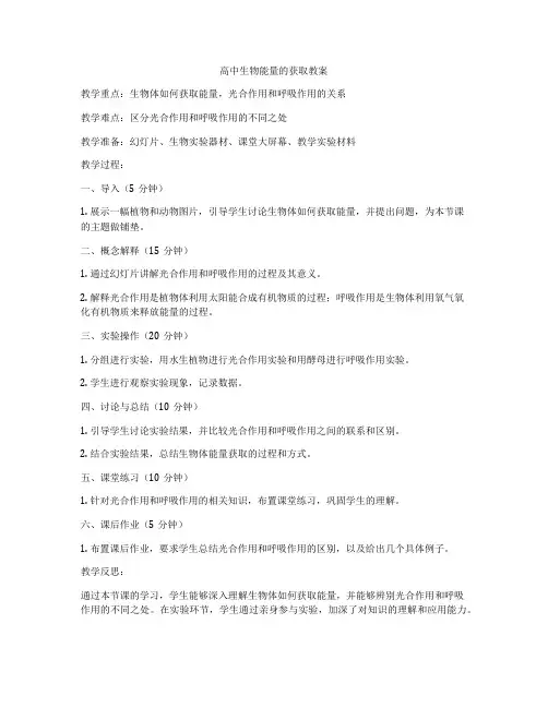 高中生物能量的获取教案