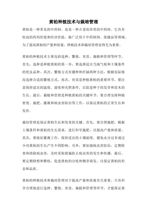 黄柏种植技术与栽培管理