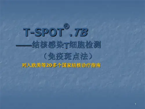 结核感染T细胞检测ppt课件