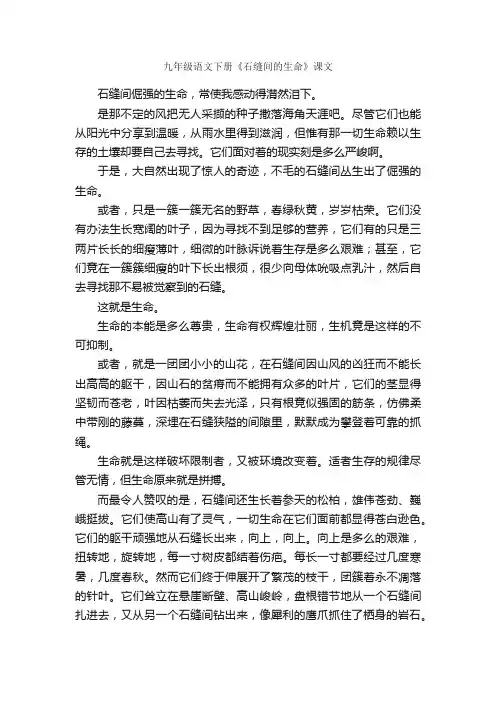 九年级语文下册《石缝间的生命》课文