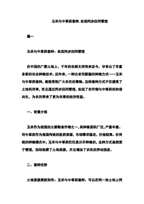玉米与中草药套种,实现同步田间管理