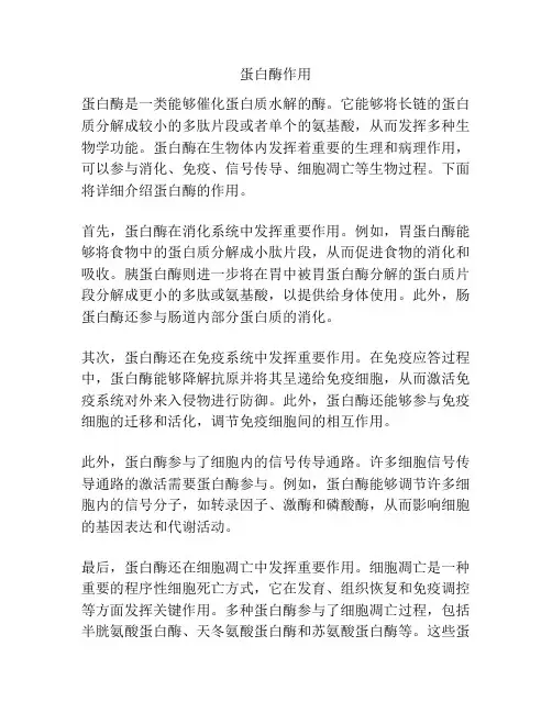蛋白酶作用