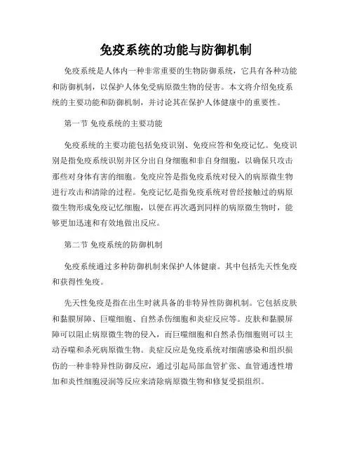免疫系统的功能与防御机制