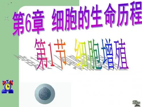 细胞有丝分裂 46张ppt