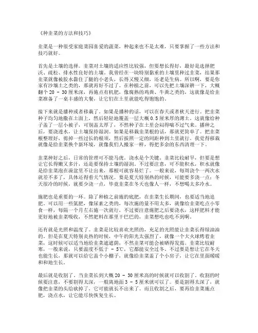 种韭菜的方法和技巧