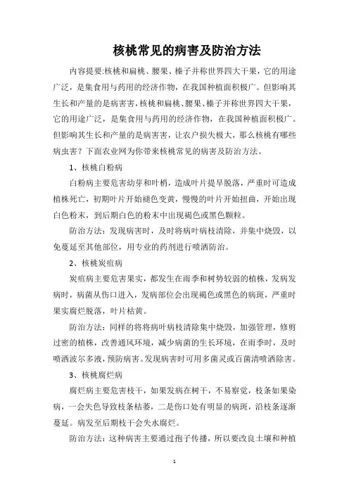 核桃常见的病害及防治方法