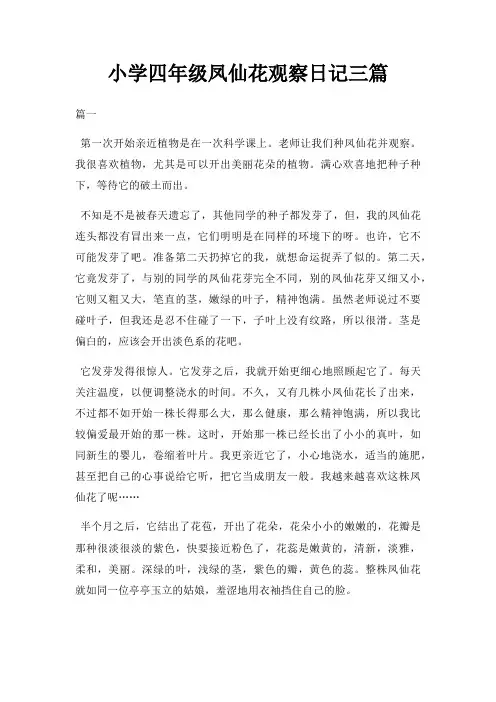 小学四年级凤仙花观察日记三篇