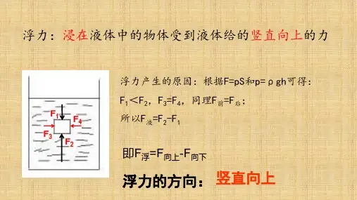 中考物理专题    浮力复习课件