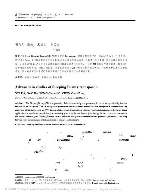 _睡美人_转座子的研究进展_谢飞