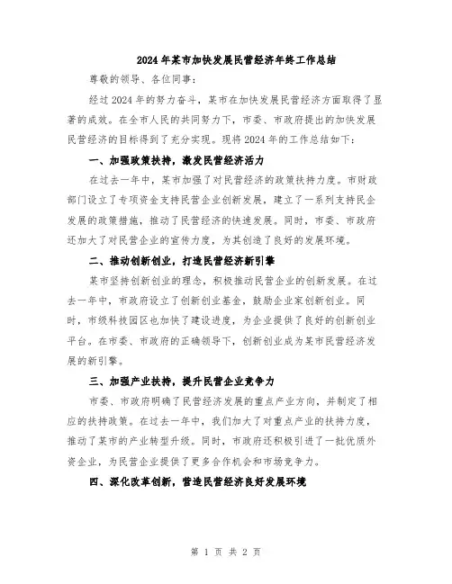 2024年某市加快发展民营经济年终工作总结