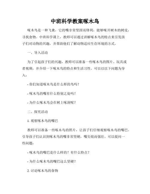 中班科学教案啄木鸟