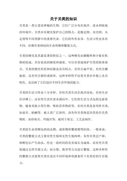 关于贝类的知识
