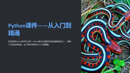 《Python课件-从入门到精通》
