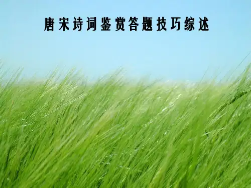 唐宋诗词鉴赏答题技巧综述幻灯片PPT