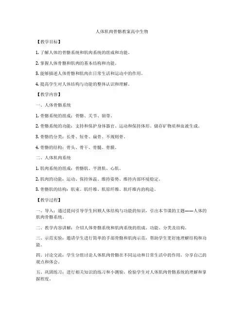 人体肌肉骨骼教案高中生物
