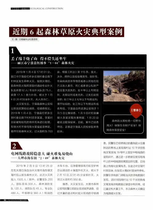近期6起森林草原火灾典型案例