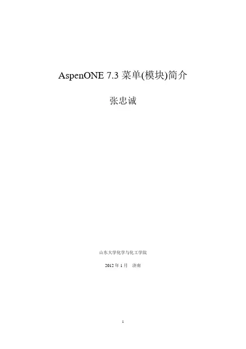 马后炮化工论坛-AspenONE 7.3 菜单(模块)简介