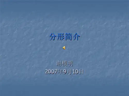 分形简介汇总