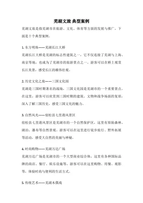 芜湖文旅 典型案例