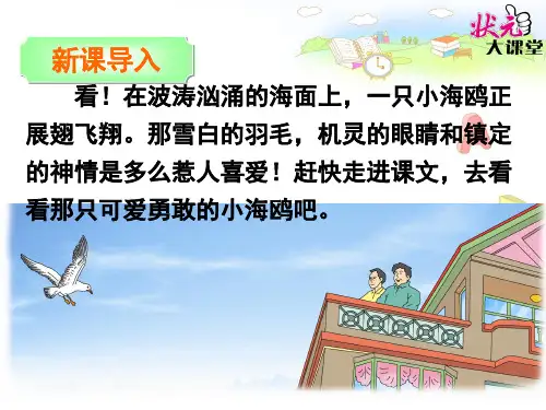 S版小学语文三年级下册6 《飞吧,海鸥》