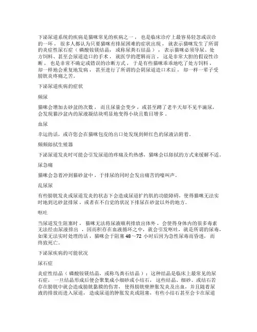 猫下泌尿道疾病的诊断