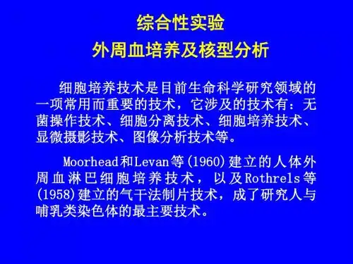 外周血培养及核型分析