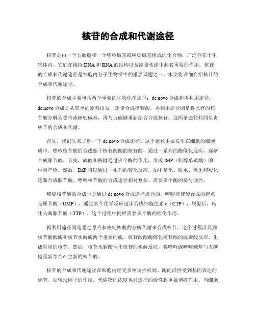 核苷的合成和代谢途径
