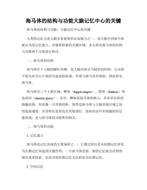 海马体的结构与功能大脑记忆中心的关键