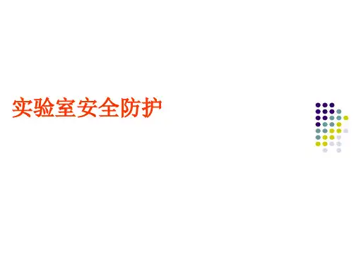 实验室安全防护ppt课件