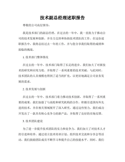 技术副总经理述职报告