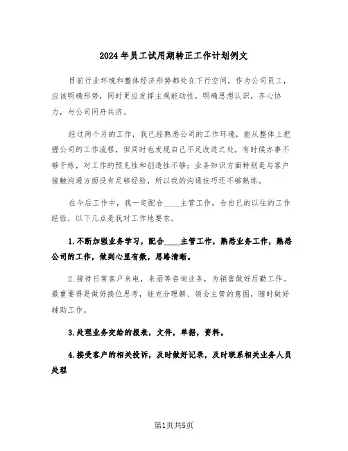 2024年员工试用期转正工作计划例文(三篇)