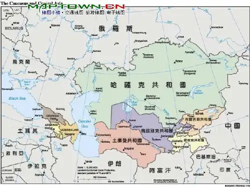 中国中亚贸易关系分析
