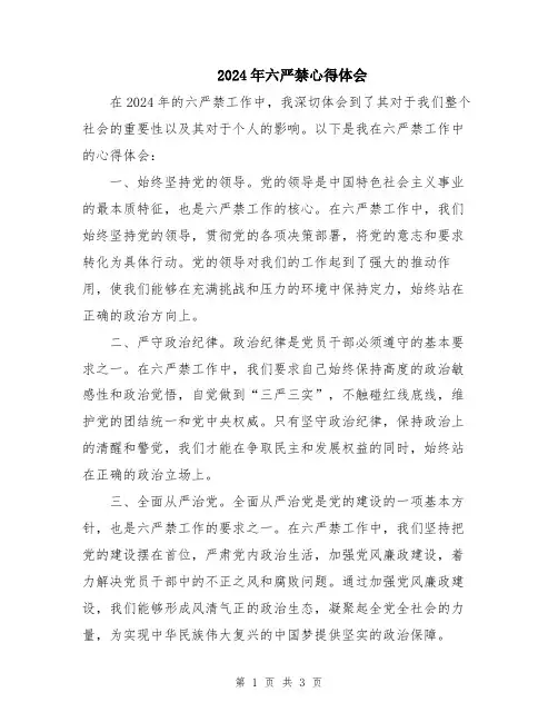 2024年六严禁心得体会