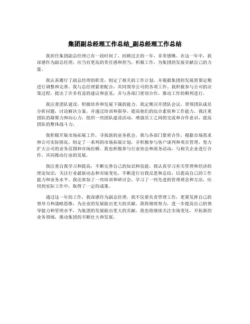 集团副总经理工作总结_副总经理工作总结