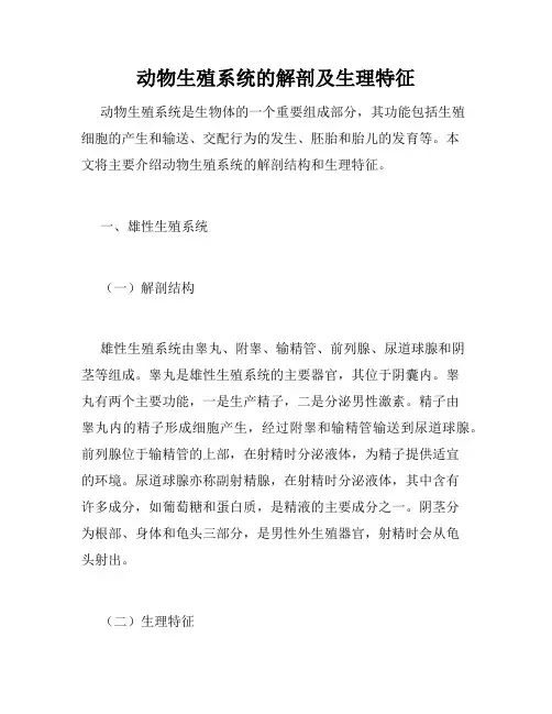 动物生殖系统的解剖及生理特征