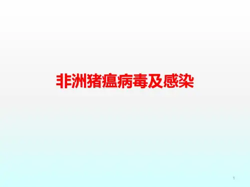 非洲猪瘟病毒及感染ppt课件