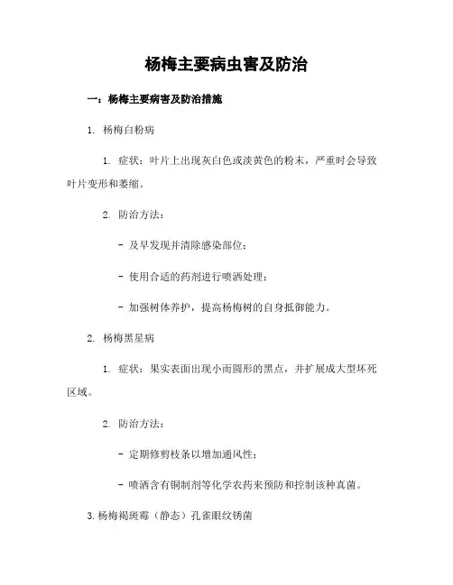 杨梅主要病虫害及防治