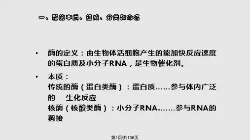 酶学基础知识PPT课件